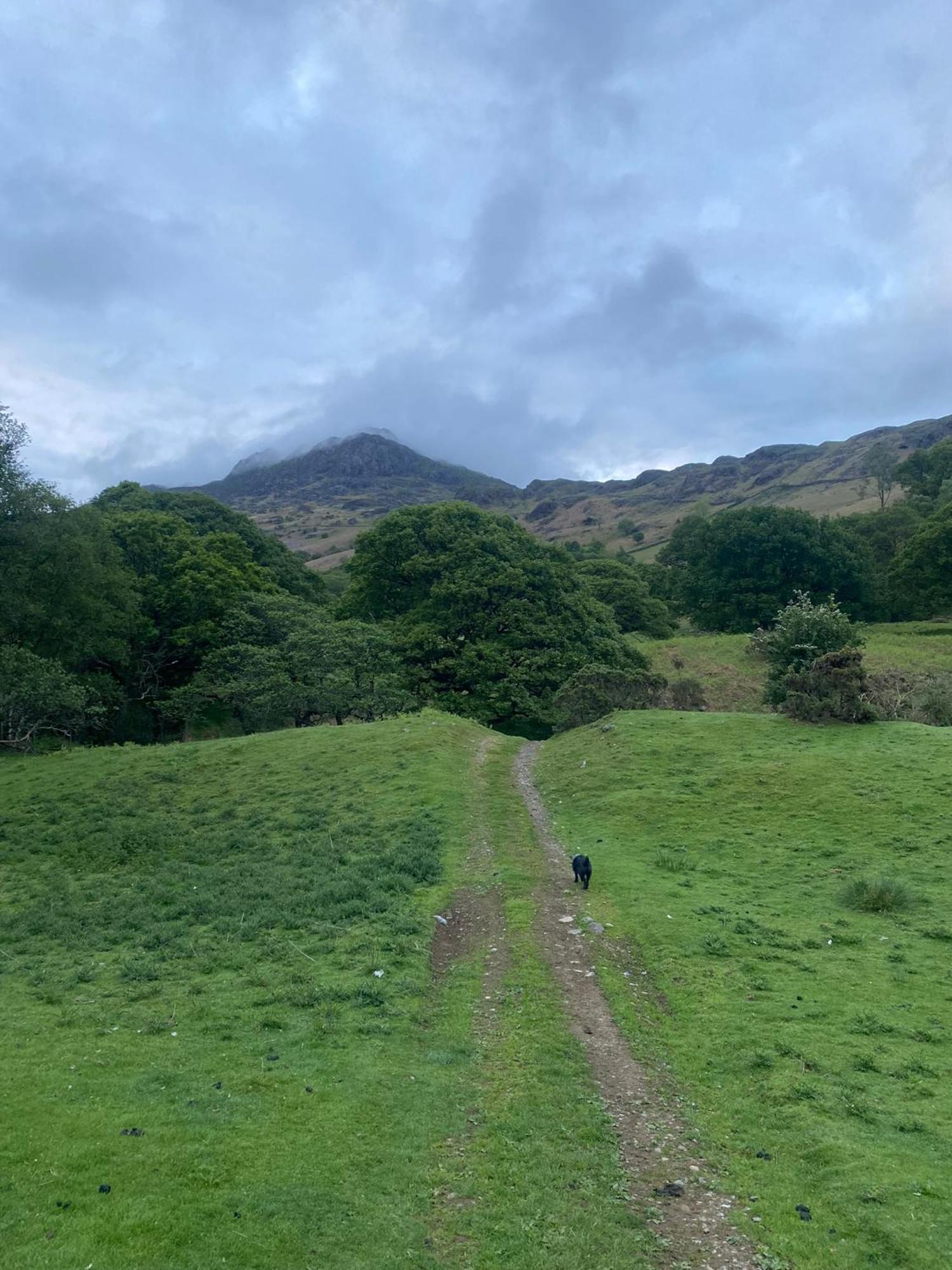Cosy Glamping In The Eskdale Valley - Studio Lodges And Mega Pods Zewnętrze zdjęcie