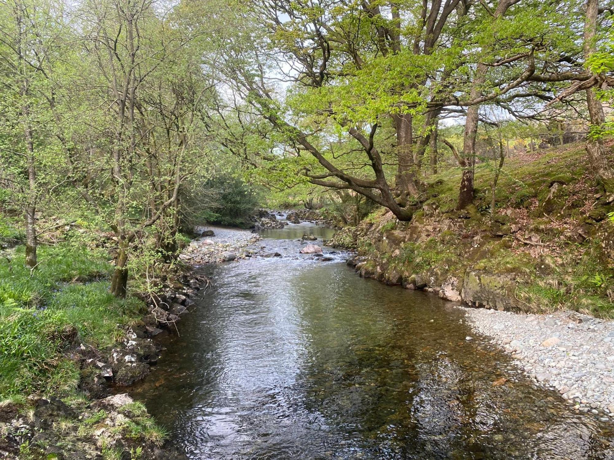 Cosy Glamping In The Eskdale Valley - Studio Lodges And Mega Pods Zewnętrze zdjęcie